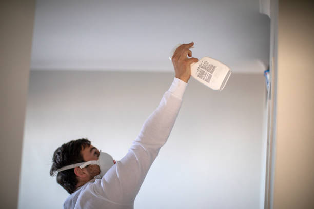 Best Home Mold Removal  in Dalton, OH
